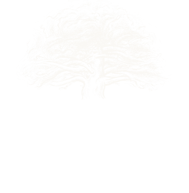 tree logo for Houston Iyengar Yoga Studio